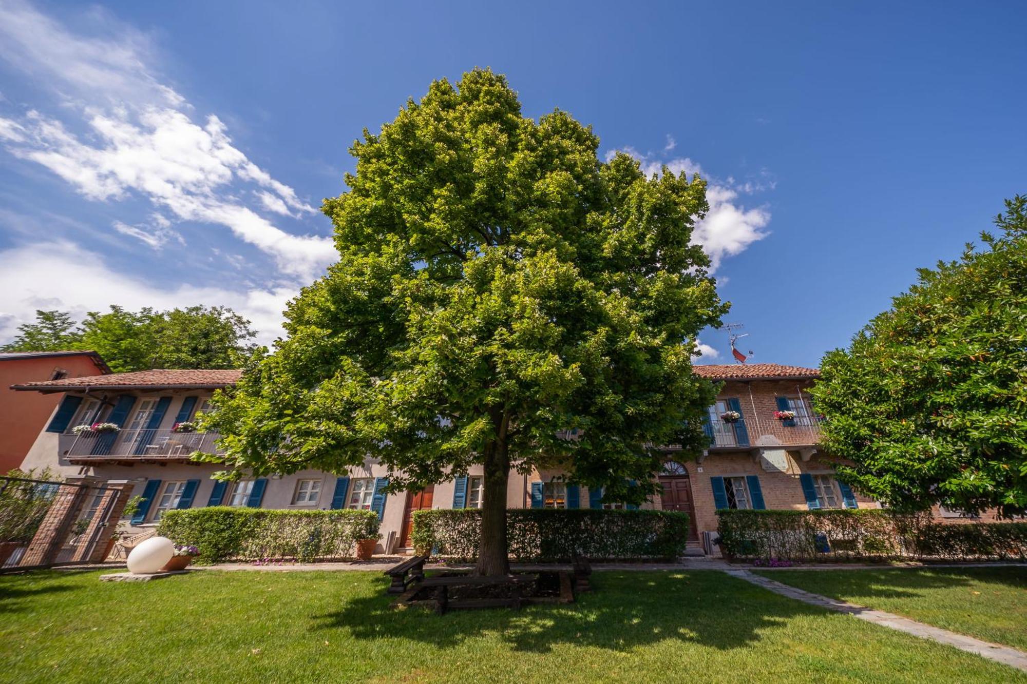 La Madernassa Resort - Casalora Dimora Storica Di Charme Guarene Eksteriør billede
